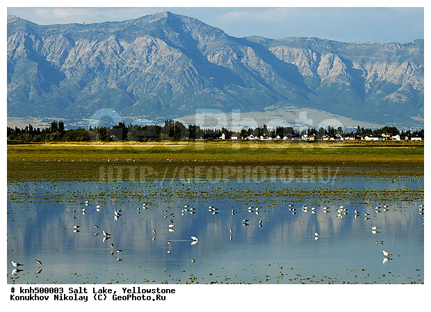 �����������, ������� �����, �����