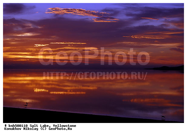 �����������, ������� �����, �����, ������� ������� �����, ���, ���, DONE