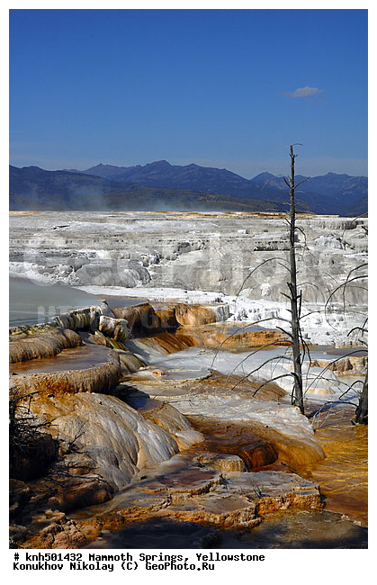 �����������, ��������� ���������, ���������, ���������� ���������� ���������, ��������������� ������������ ����, ���, DONE