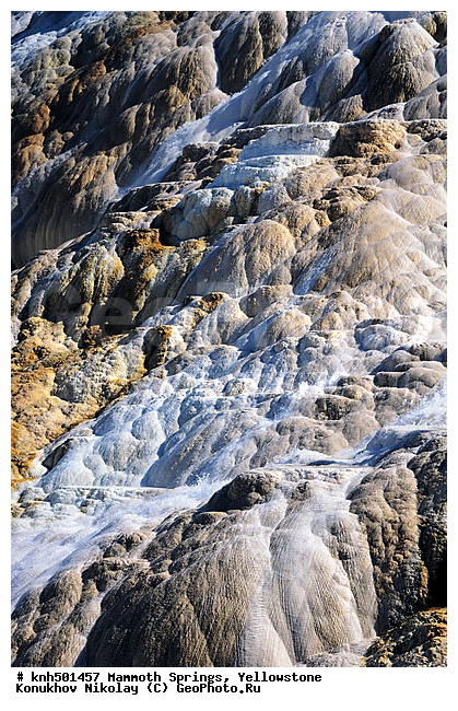 �����������, ��������� ���������, ���������, ���������� ���������� ���������, ��������������� ������������ ����, ���, DONE