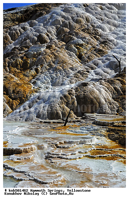 �����������, ��������� ���������, ���������, ���������� ���������� ���������, ��������������� ������������ ����, ���, DONE