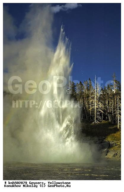 �������, �����������