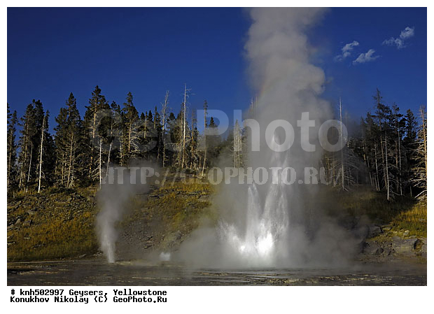 �������, �����������