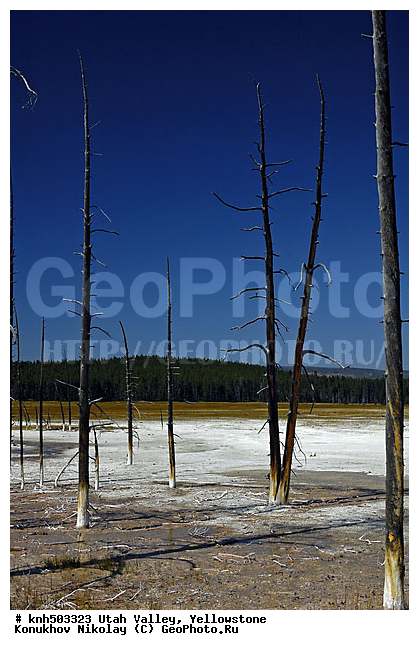 �����������, ������ ������, ������, ��������������� ������������ ����, ���, DONE