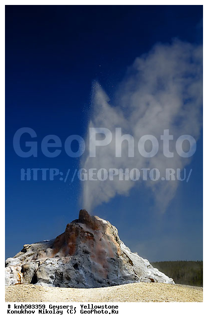 �������, �����������