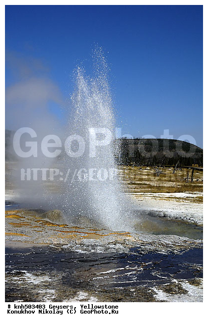 �������, �����������