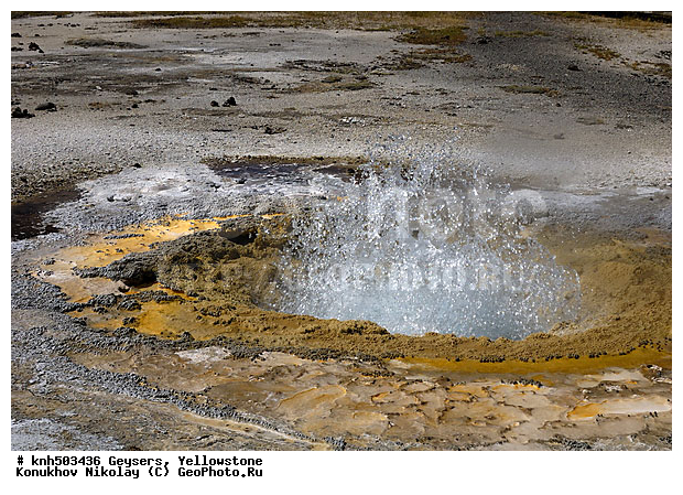 �������, �����������