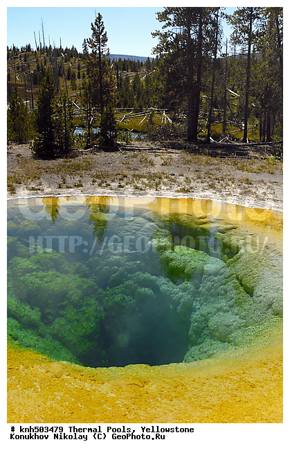 �����������, ���������� �����, ����� �������� �����, ��������������� ������������ ����, ���, DONE