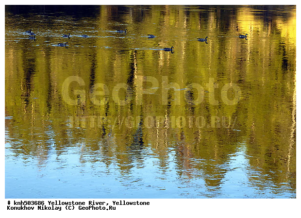 �����������, ���� �����������, ����, ��������������� ������������ ����, ���, DONE