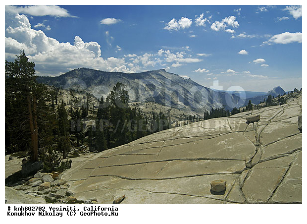 Yesimiti, ����������