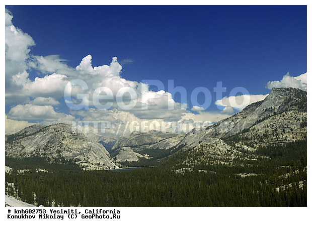 Yesimiti, ����������