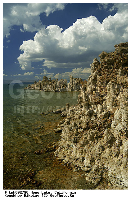 ����������, ����, �����, ����� ����