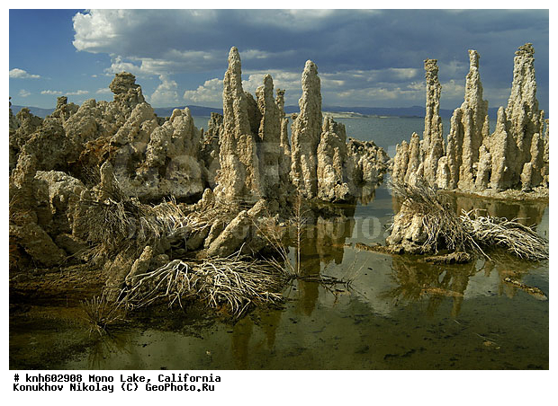 ����������, ����, �����, ����� ����