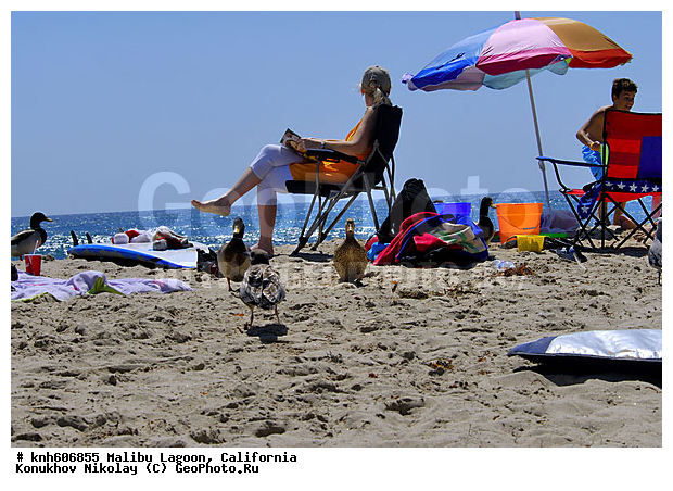 ����������, ������ ������, ������, ������