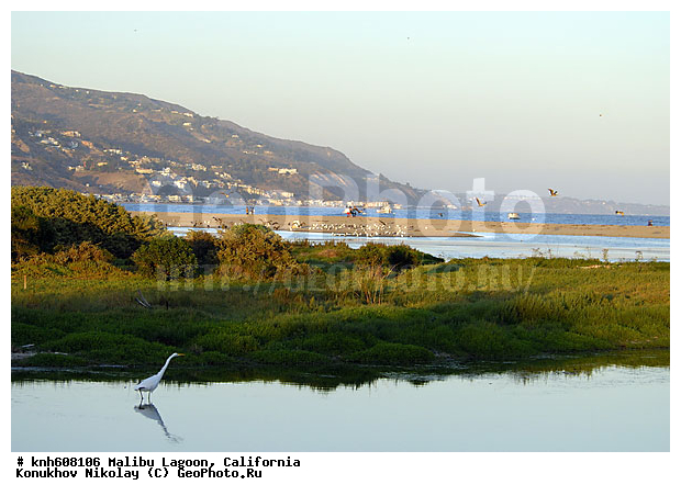 ����������, ������ ������, ������, ������