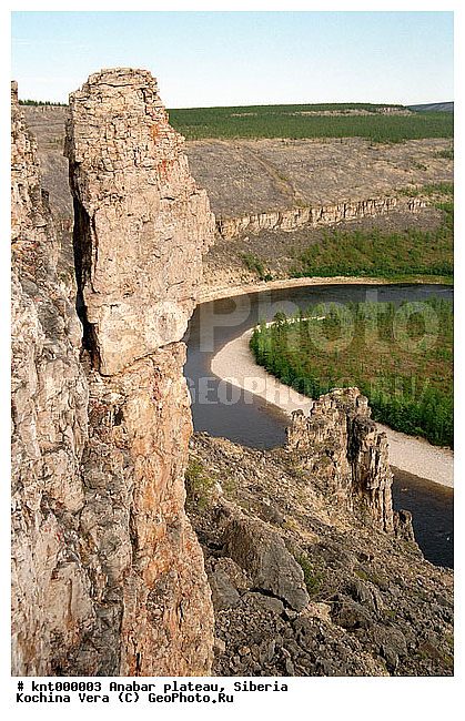 ����������, �������, ĸ��, ������, ������������, ����, �����, ����