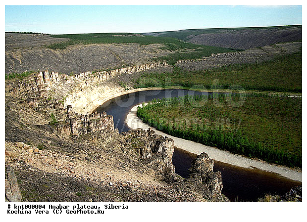 ����������, �������, ĸ��, ������, ������������, ����, �����, ����