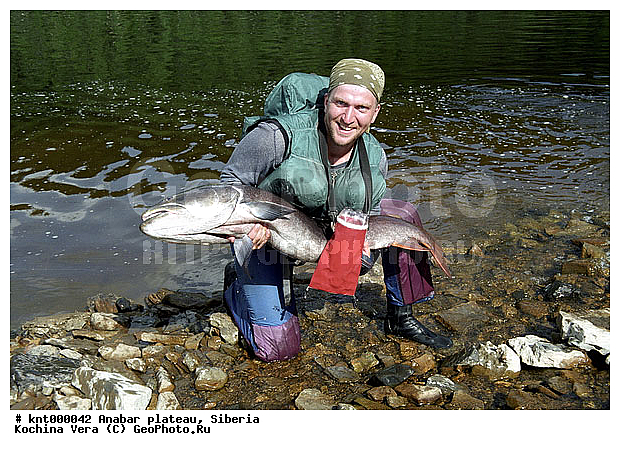 ���������� �����, ������, �������, ������� ������������, ����, ������, ����, �����, �������, �������� �������, �����