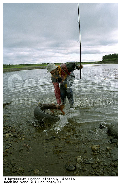 ���������� �����, ������, �������, ������� ������������, ����, ������, ����, �����, �������, �������� �������, �����