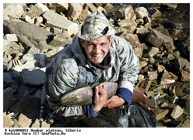 ���������� �����, ������, �������, ������� ������������, ����, ������, ����, �����, �������, �������� �������, �����