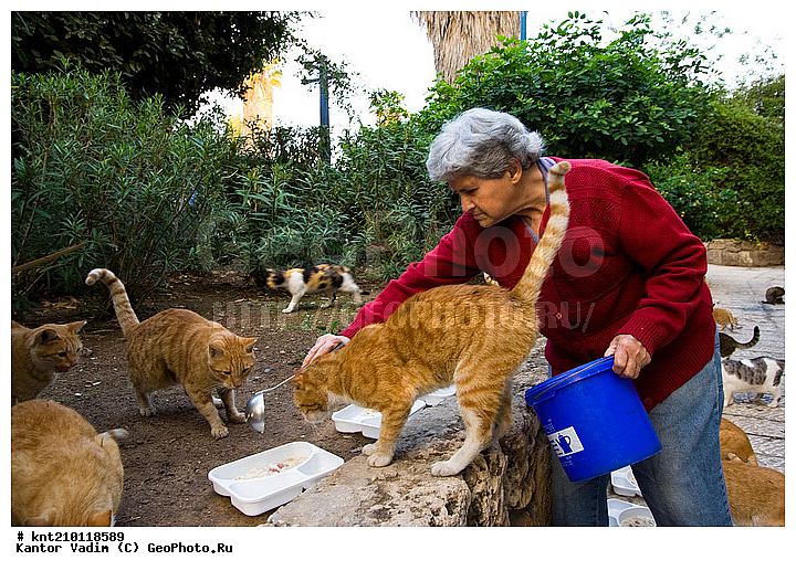 �������������������, ���������, �������, ���, ����, �����, ������, �������������, ��������� � ��������, ��������, ������