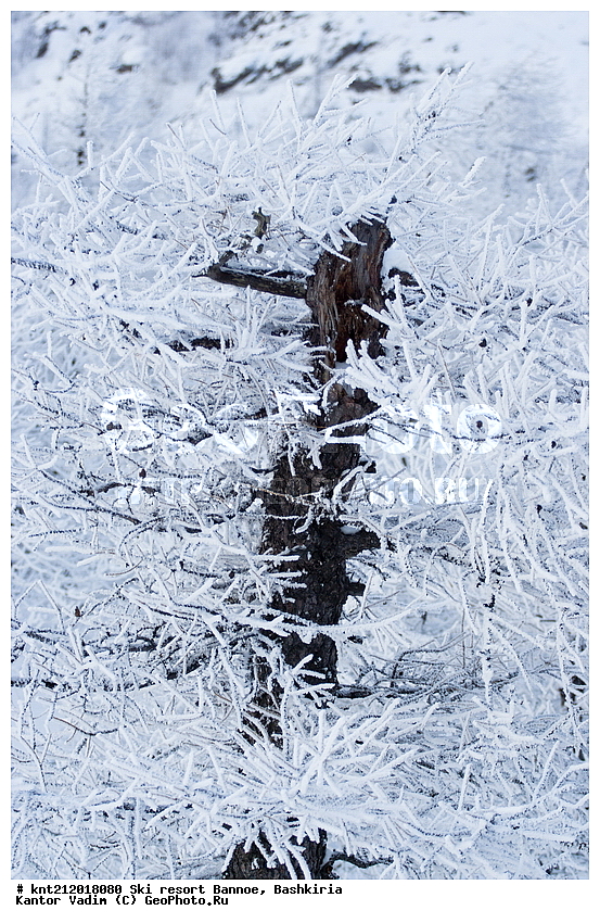 ������, ��������, �����������, ����, ������, �����, ������ ����