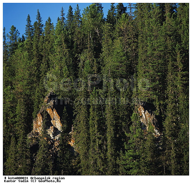 ���������� ����, �������, �����, �����