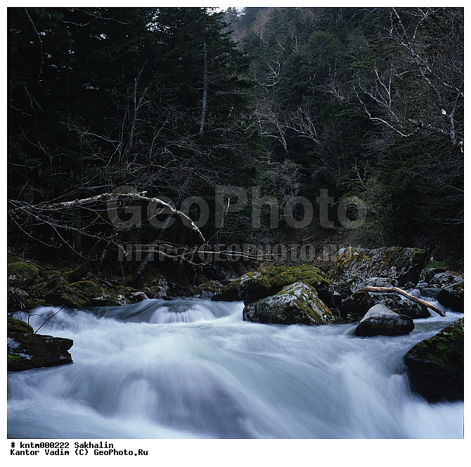 �������, ������ �����