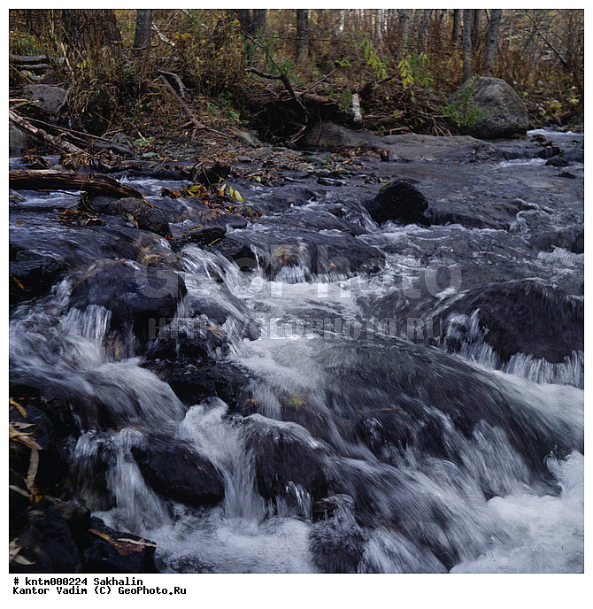 �������, ������ �����