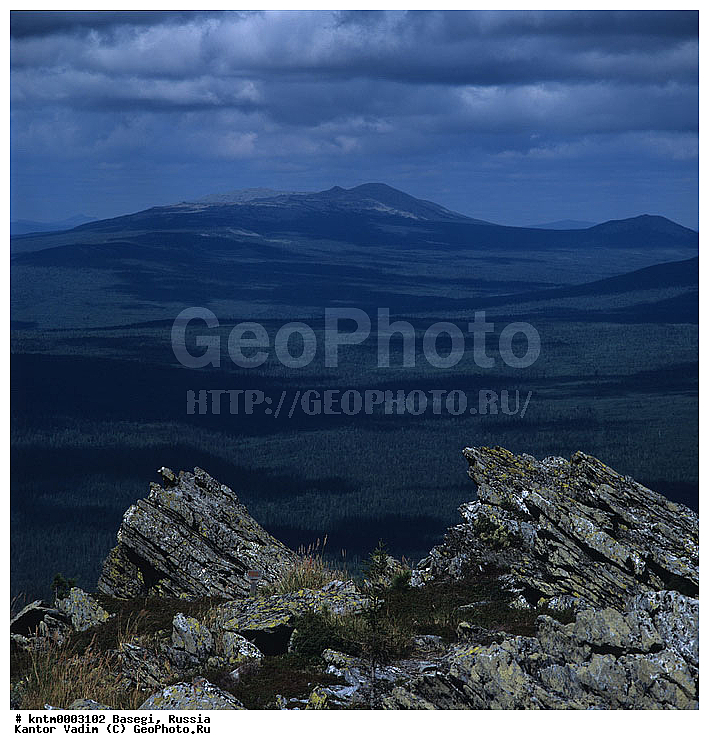 ������, ����������