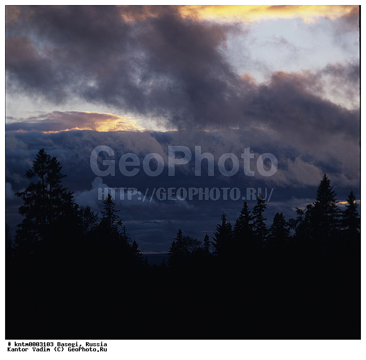 ������, ����������