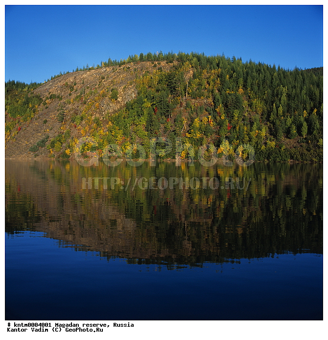 ����������� ����������, ����, ����, �������, �����, ���������