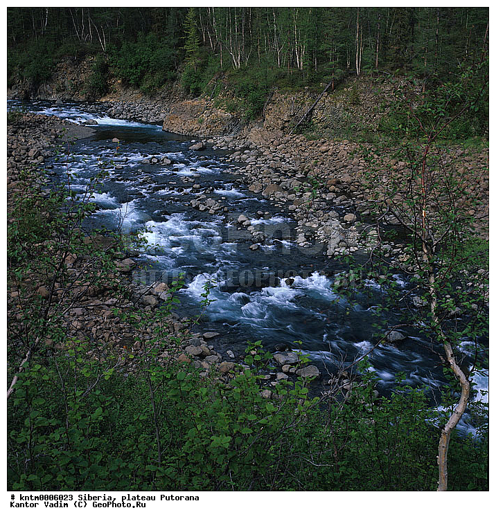 ��������, ����������� ����������, ������, ����������, ����� ��������