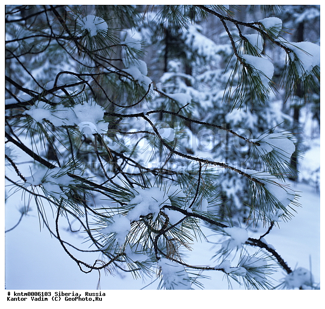 ������, �������, �����, ����� ��� ������, �������������� ����� �����, ����