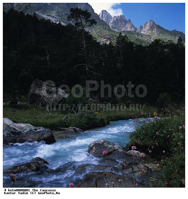 ������, ����, ������ ����, ����, �����, ������ ������, ������, ��������������, ����, �����