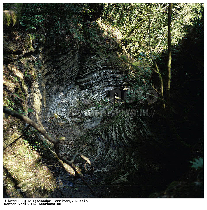 ������������� ����, ����������� ����������