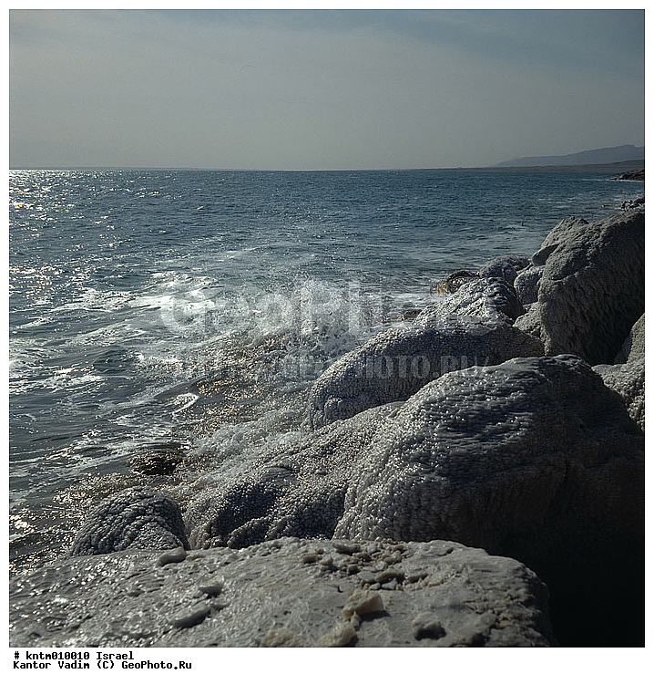 �������, ̸����� ����, �����, ������, ������� �������, ����