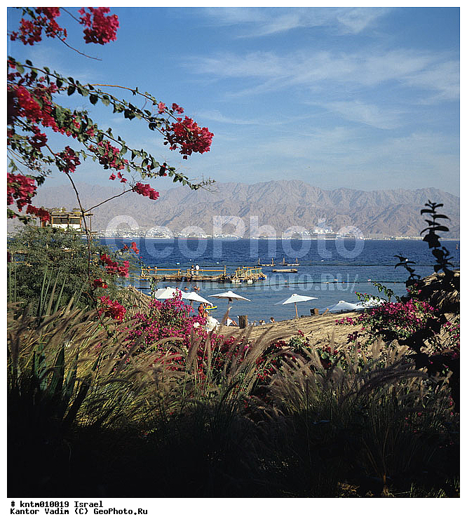 �������, ������� ����, ������, ������� �������, ����