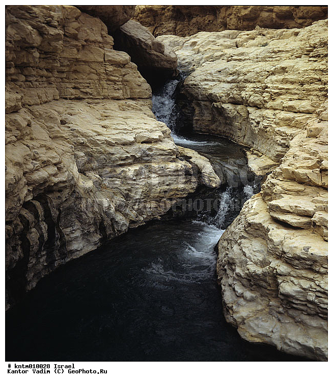 �������, ������, ������� �������, ����, ������