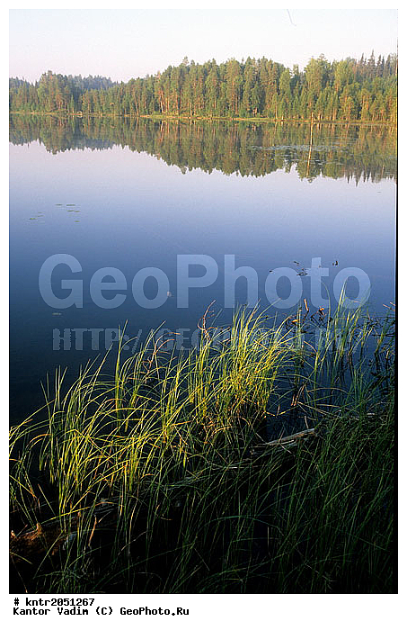 �������������, �����, ������, ����, �����, ������, �������, ������� �����