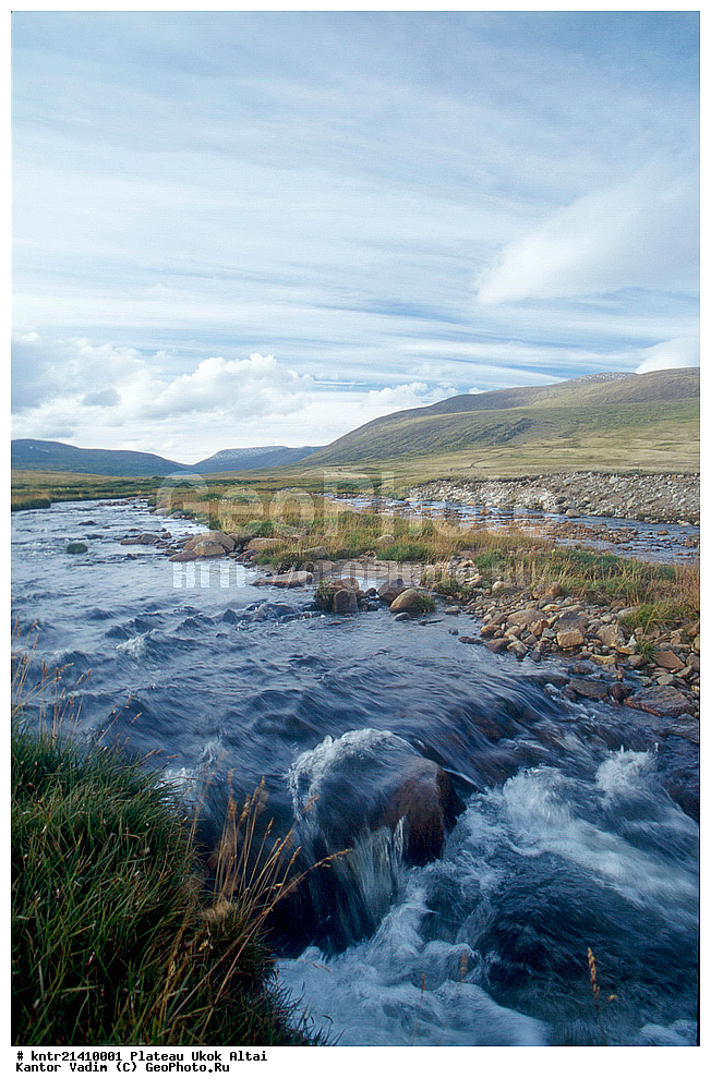 �����, ����, �����