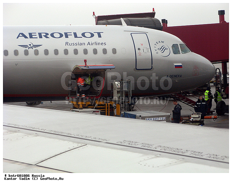 ������, ������, �����������, ��������, ����������, �������, ��������