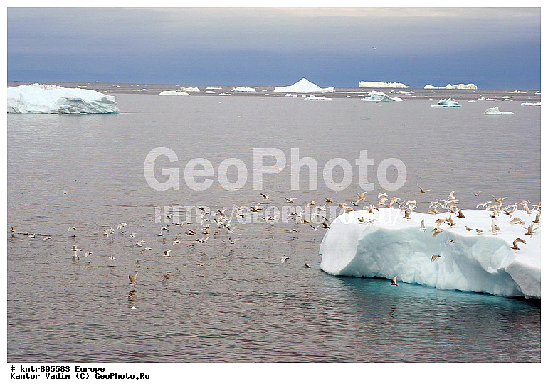 ��������, ����������, ���������, ������������ �����, �������, ������, ������, ��