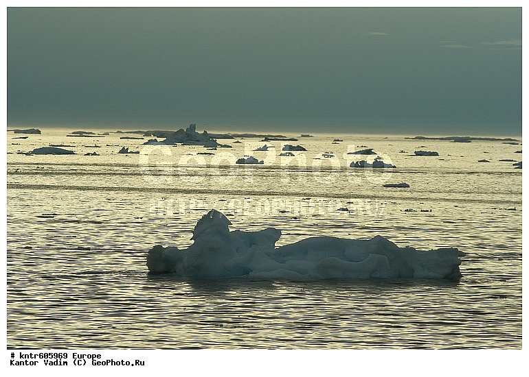 ��������, ����������, ���������, ������������ �����, �������, ������, ������, ��