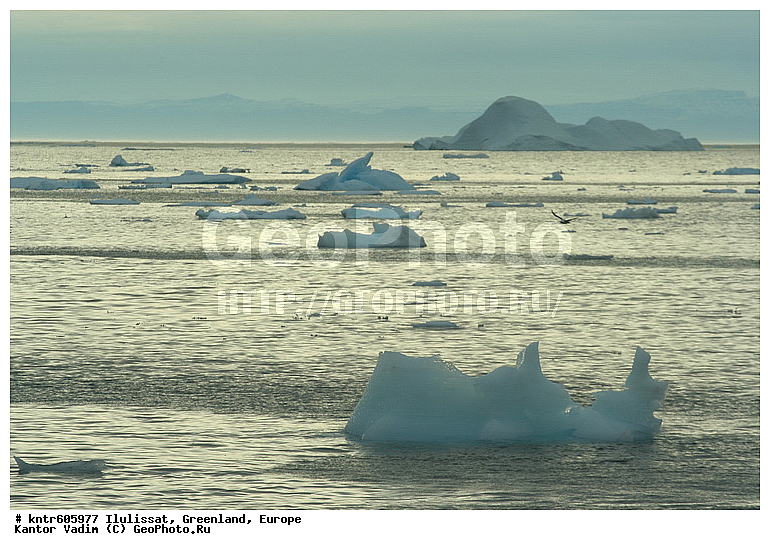 ��������, ����������, ���������, �����, ������������ �����, �������, ������, ������, ��