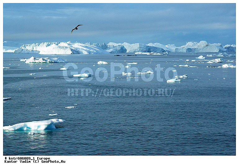 ��������, ����������, ���������, ������������, �����, �������, ������, ������, ��, �����