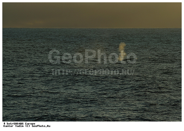 ��������, ����������, ���������, �����, ������������ �����, �������, ������, ������, ��, ����