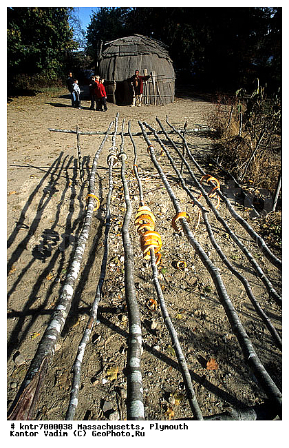 ���� ������������, ����������, ������, ������, �������� ������, �����, ����� ����� �������, ������������������ �������