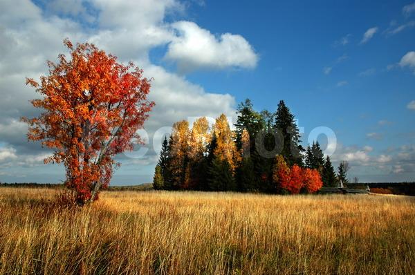 ������������� �������, ��������, ����������� ������������ ����, ���������, ���������� ������, ����������, ������, ������� �����, ����, �������, ������, ������, ���������� ����������, ������� �����, �������, ���������, �������, ����, ������, ������, �����, ������, ������, ����, ����, ������, ��������� ����, �����, ��������, �����, �����, �����