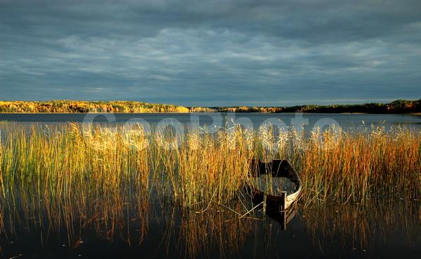 ������������� �������, ��������, ����������� ������������ ����, ���������, ������, ������� �����, �����, ����, ��������, �����, �������, ��������, ����������, ������, ����������, ���������� ����������, �������, �����������, ������� �����, �������, ��������, �����, �������, ����, �����, �������, �����, ����������, ���������, ������, ������������, ����, �����, ��������, �����, ������